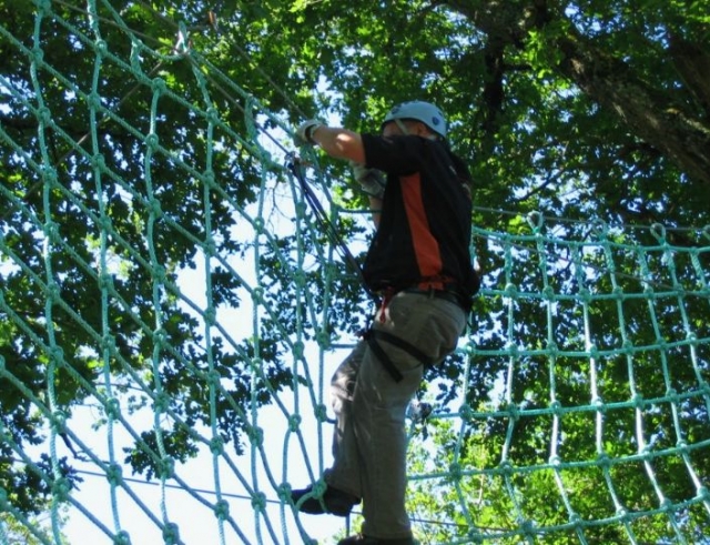  Nets between the trees 